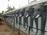 Die Ruwanweli Elefanten Mauer